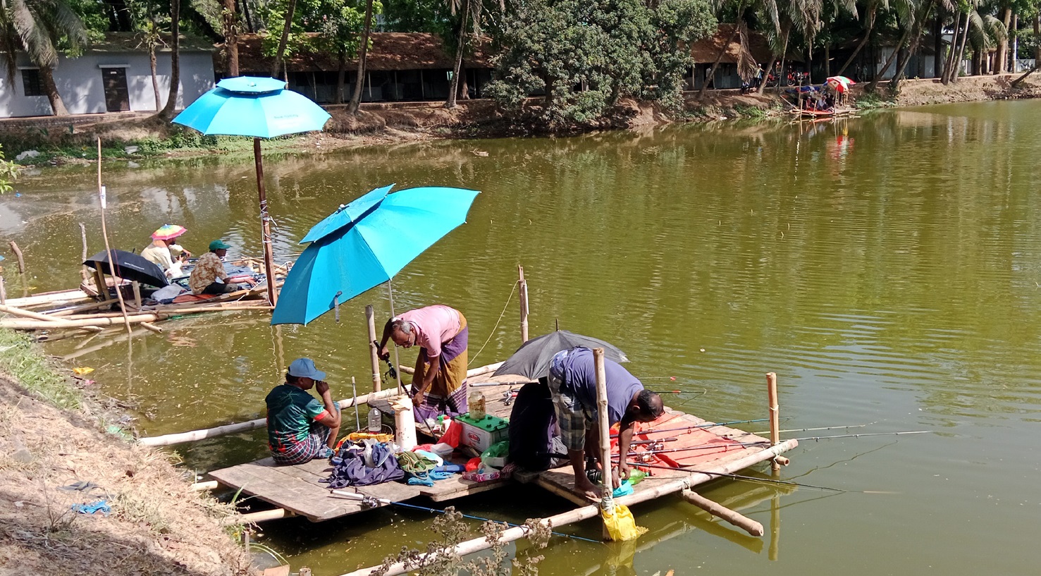 50869035-11ab-4903-9b4b-280285c243f832343