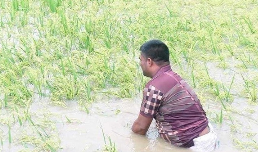 4346e241-1968-4fa3-8de9-200de021052235246