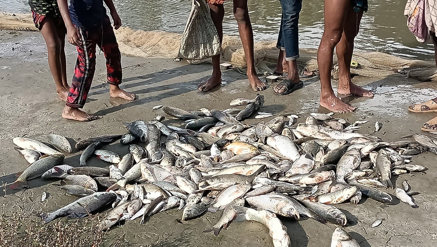 ff51e48e-e0a1-4483-a2b7-19afb016dd8d28011