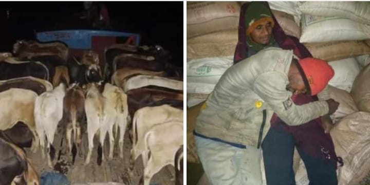 b8feb0de-438c-496b-9f97-a1e71234ace029339