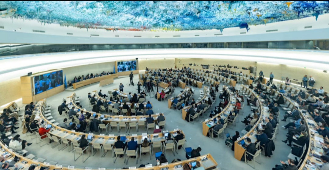 b10c58fb-ee6c-4a41-8652-1d725315ae7534363