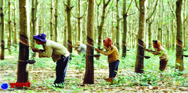 651e6df5-9e8c-415f-954c-f987cb3a407e30010