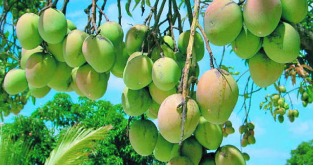 00db3016-061e-4fe1-b866-19b30b7e461b33924