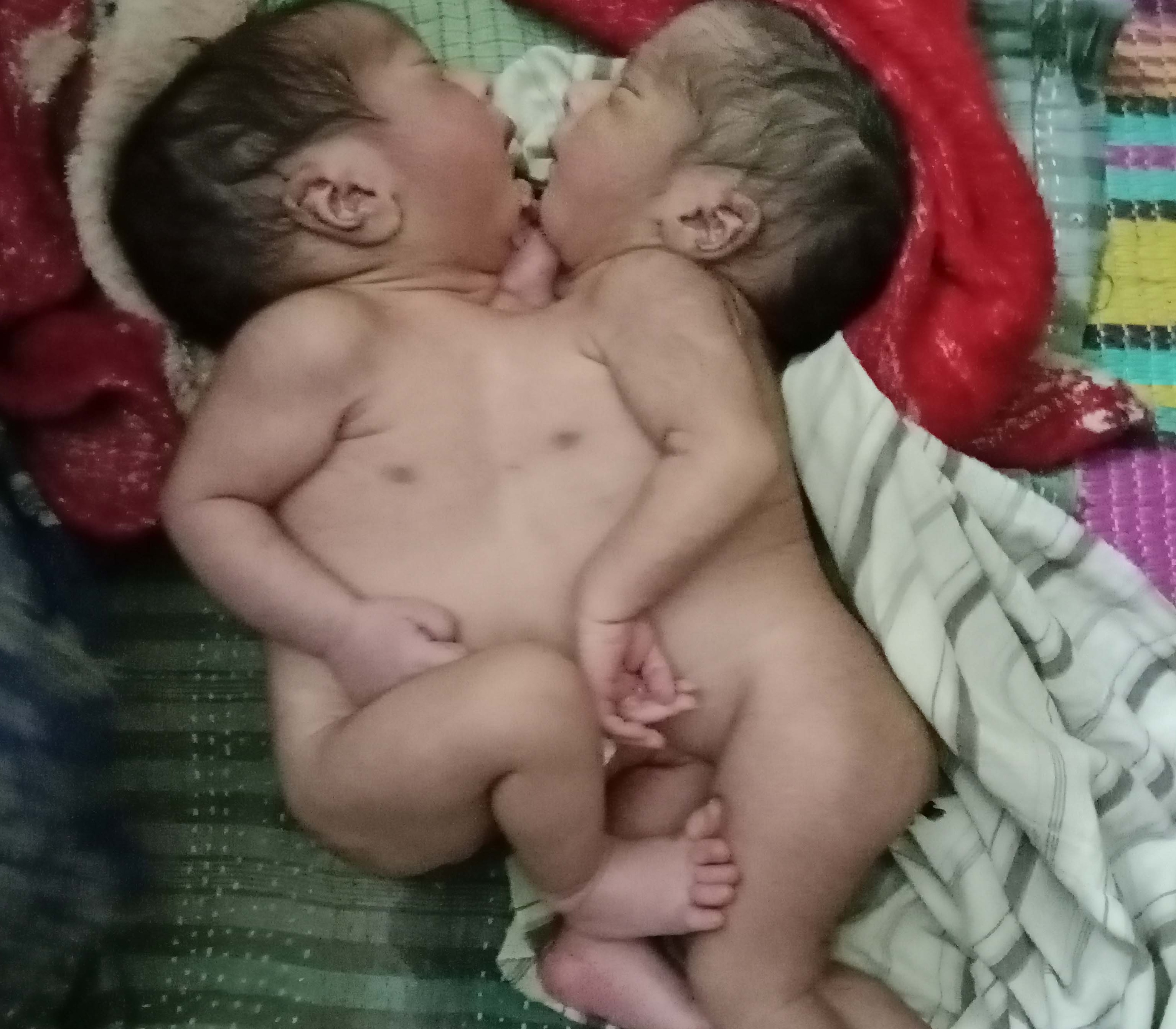 1a68b6c2-dd55-4c91-8f05-877b404844a526607