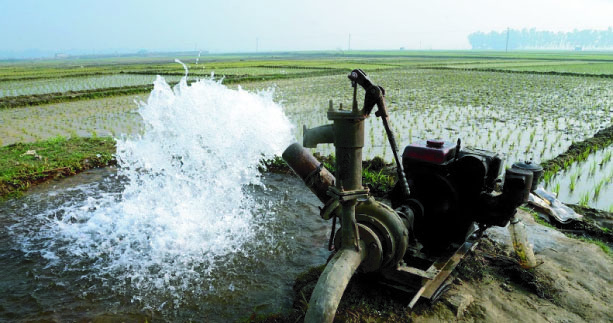 fa5d8dc8-63cc-4cab-9b13-808c9055496e31890