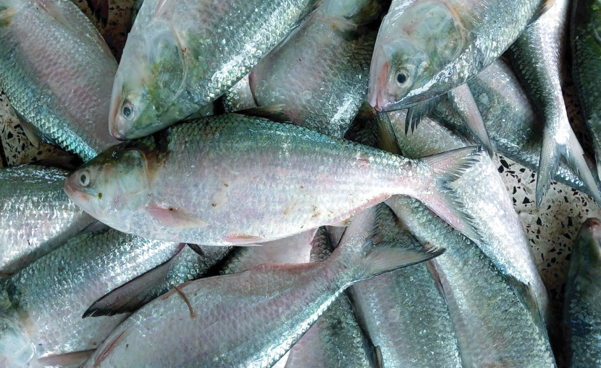 9a7f2b37-237b-4c31-a49c-314cf1ff44a934432