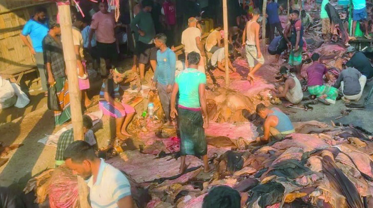 4fb15bc9-4c18-4b70-813e-5d055d62ece433667