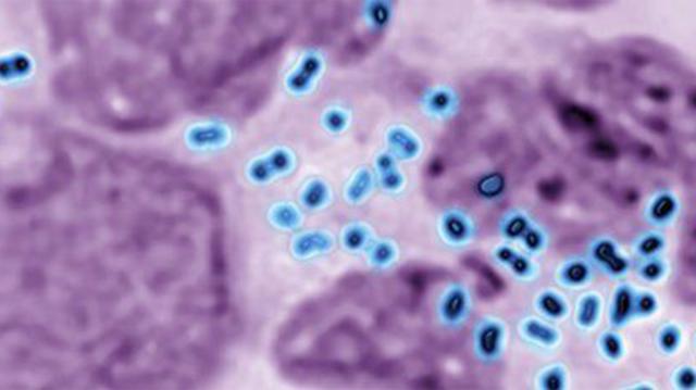 5495ed52-f46c-4b71-9fdc-a7de4ab3353936020