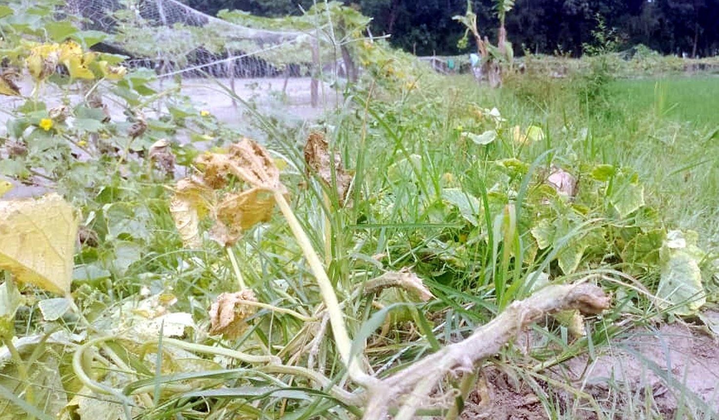 463e8ab2-b659-43c6-b136-6a2d51ae463a27786