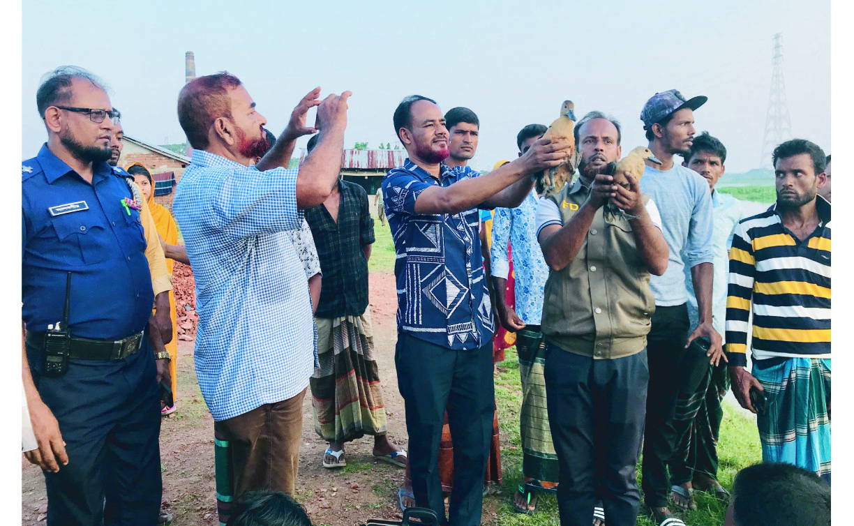 bb5b8ab3-9fbd-45e0-b969-bb26f9b929ad36979