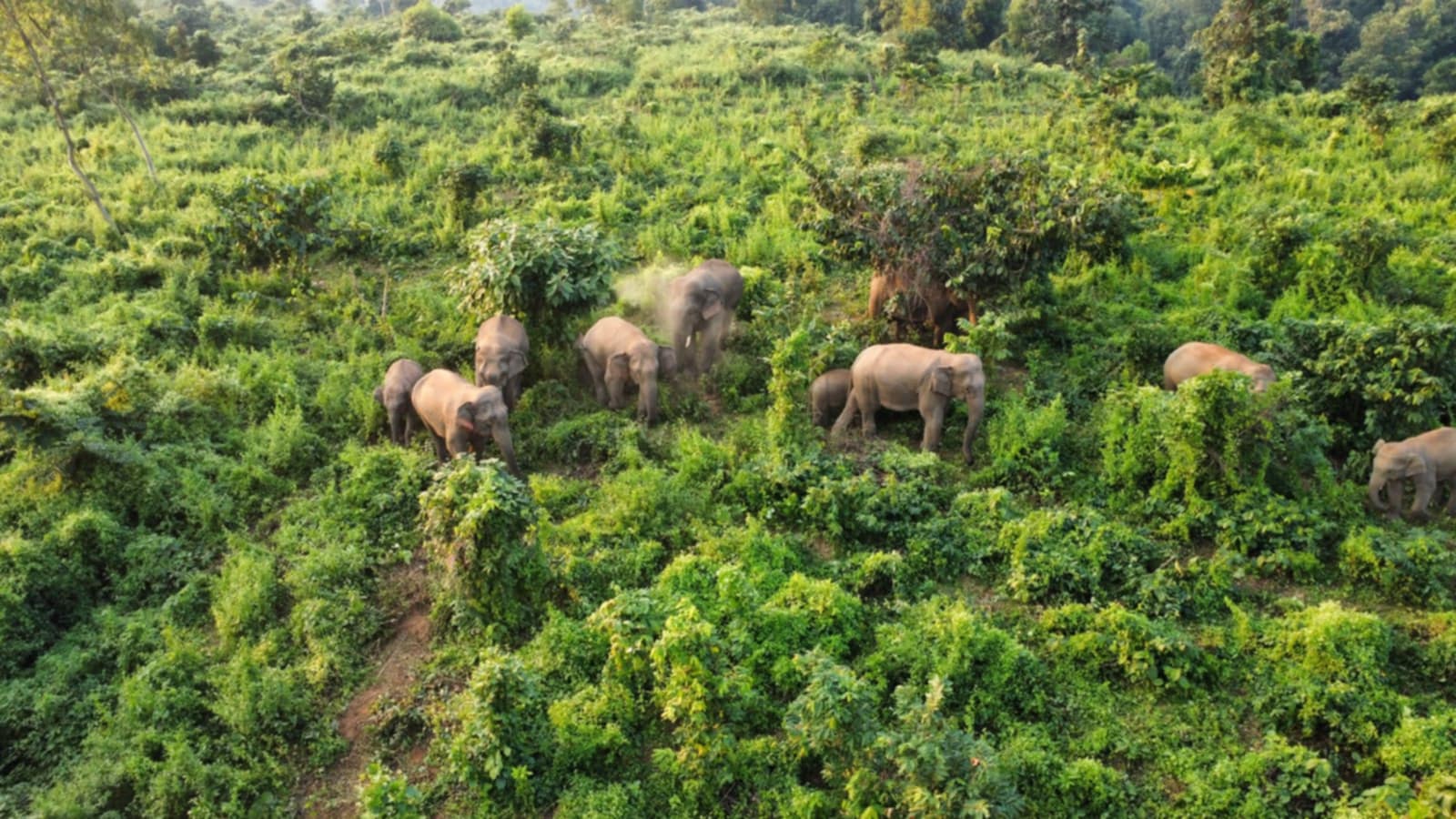 329a0eb4-e8e4-4591-8ee7-06e4641df1df30700