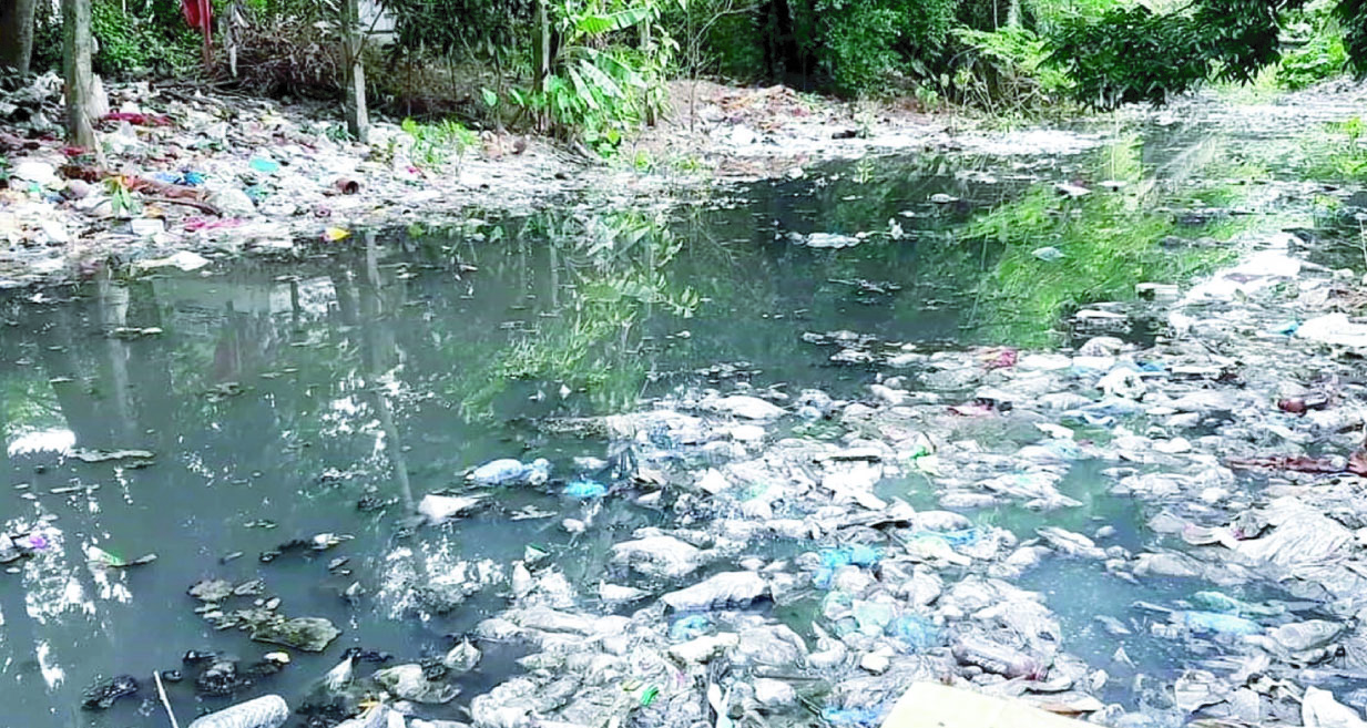 cf7c019f-bf67-4040-b1ca-8b41adab12ed36633