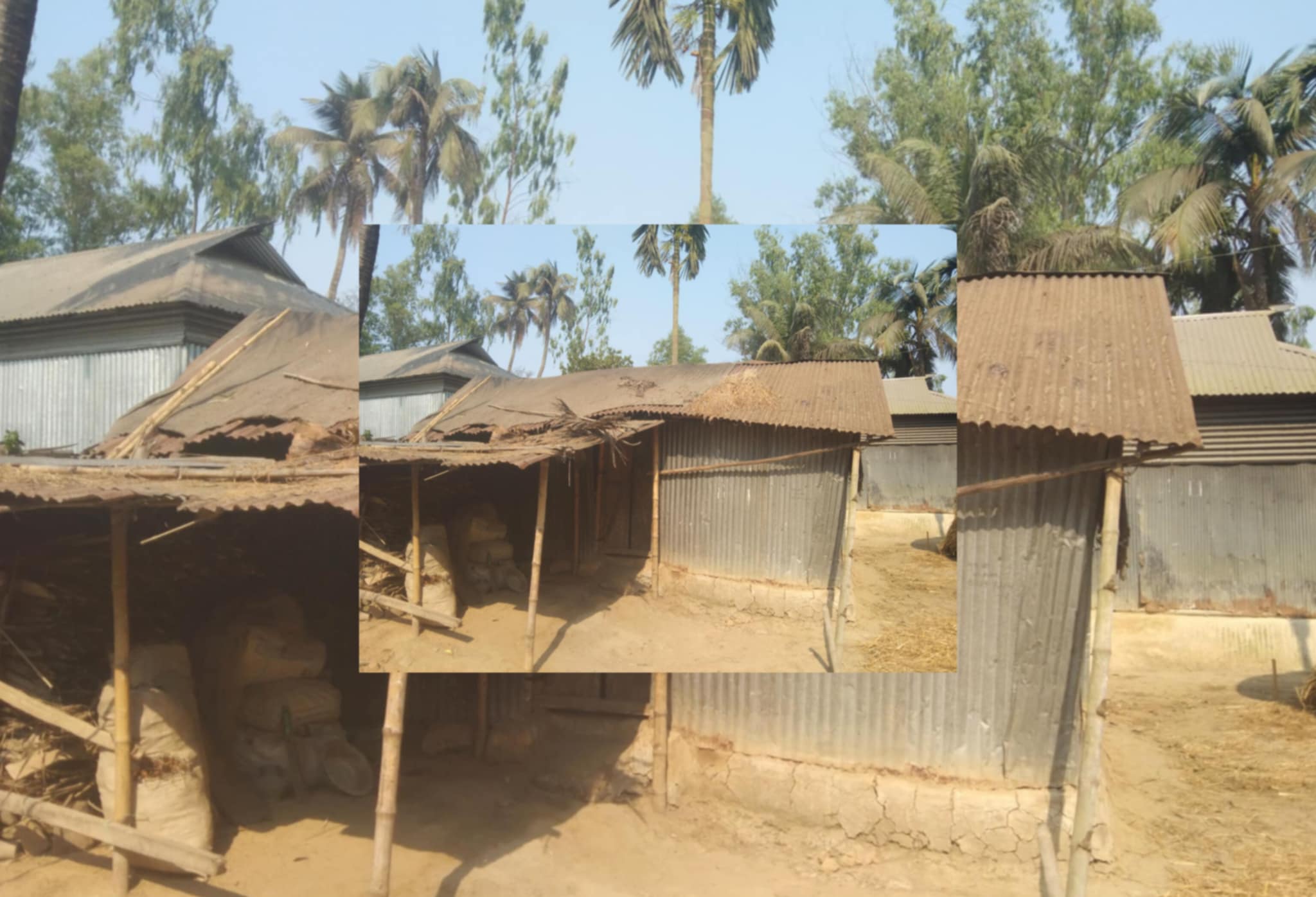 6d8fe1ad-8fc7-4f3f-b1c6-b0259eaeb78232317