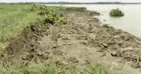 7239013a-fa80-4fb6-8bb3-36f94d8b88a729442