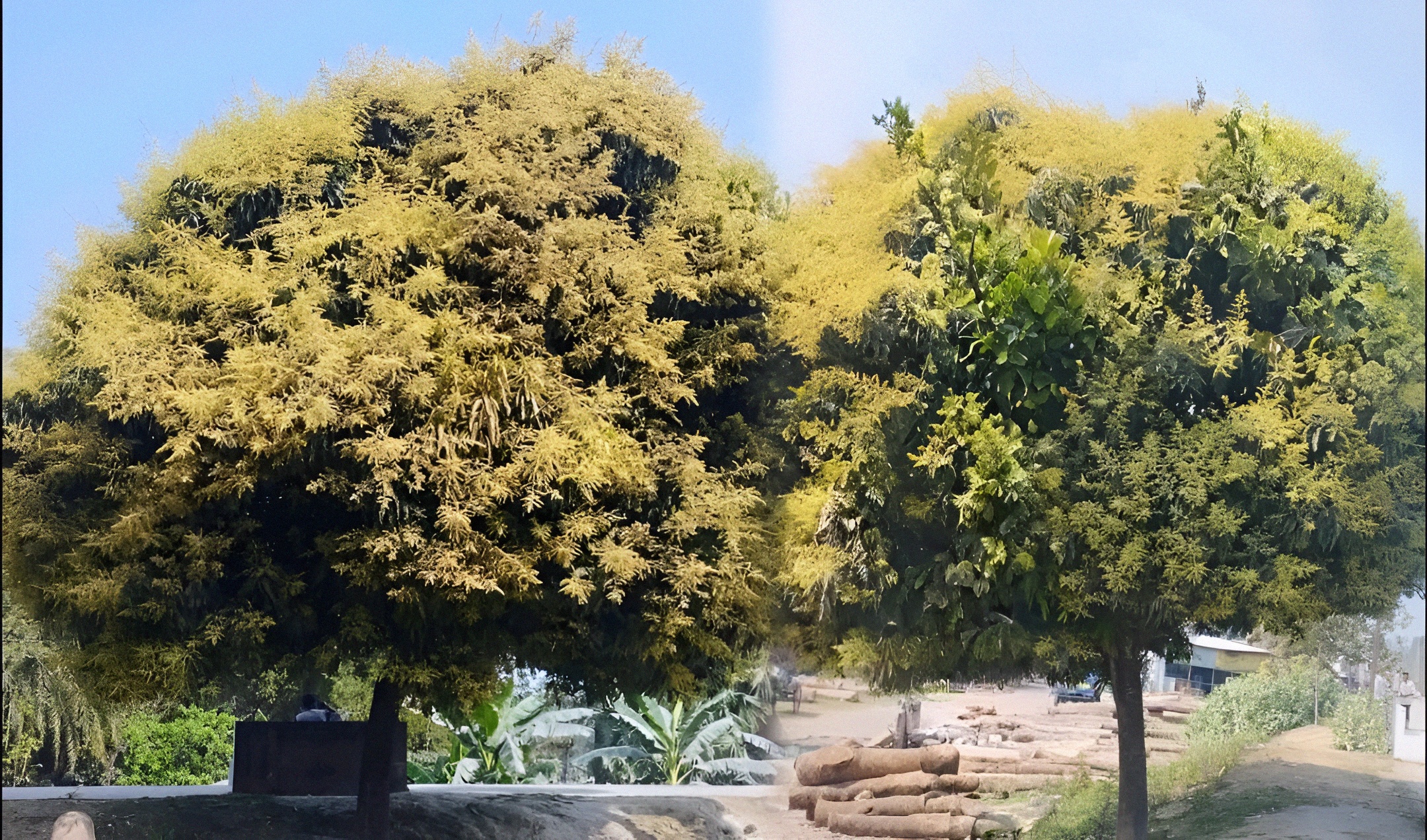 cb1e172a-3a6d-4382-86bf-67d86219c3fa40012