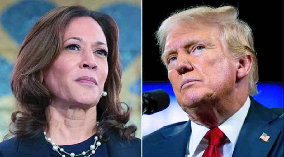 3dc7e5cc-5ff0-445d-9d6d-efea8e2a606928551