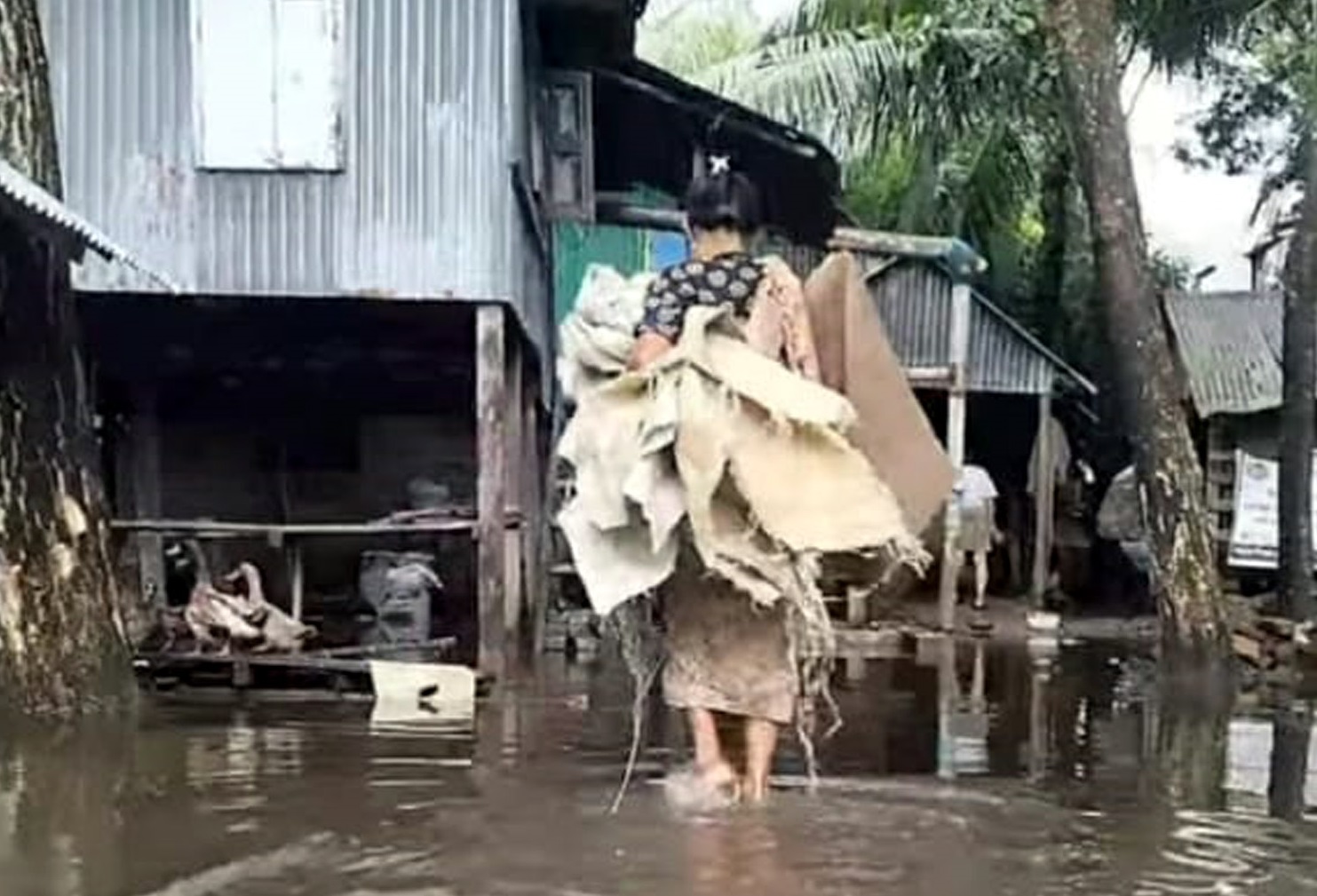 368b81b9-c09c-489b-8023-e3cfcdeef7bc33877