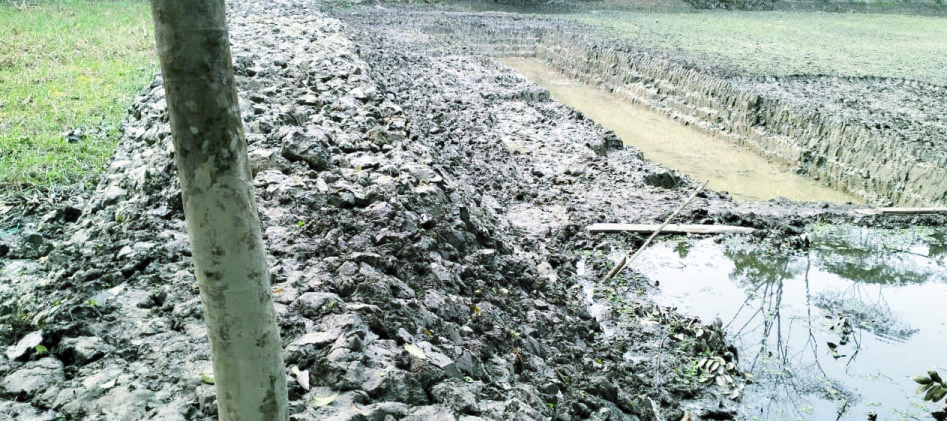 ec155975-5d0a-4da1-8417-34ce4ca6d24230881