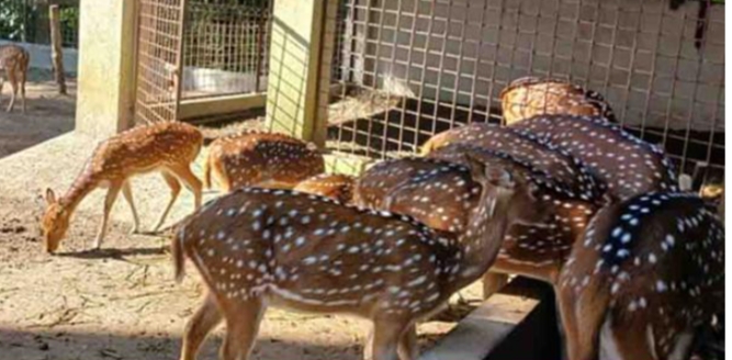 77ceec98-b0eb-4562-9228-f030c18fb5c734993