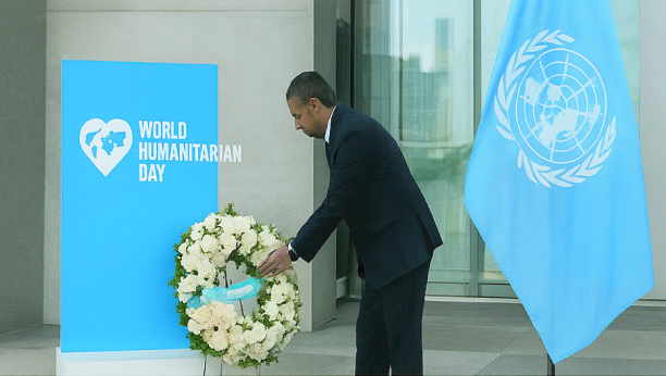 acabd4dd-36b0-47d8-8c9e-cbeac5b0f7b335367