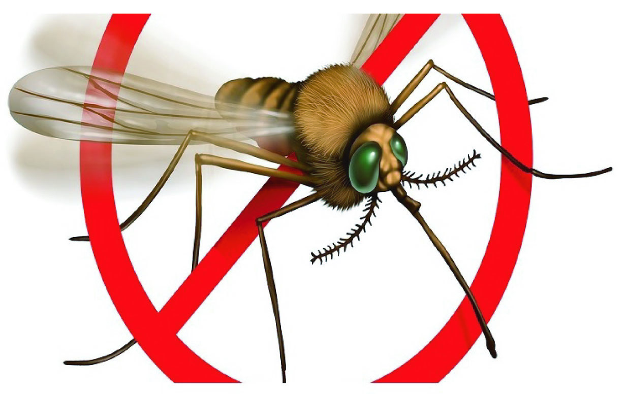 c7748cd0-f509-43c9-a9b0-fc42154b8f8f37059