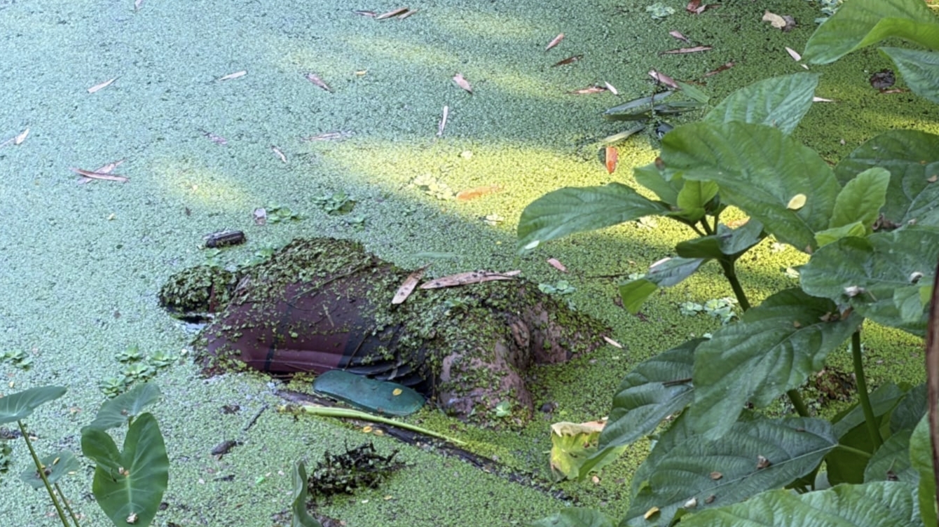 94713cc7-78fa-4522-bcab-83dca5a2300b37133