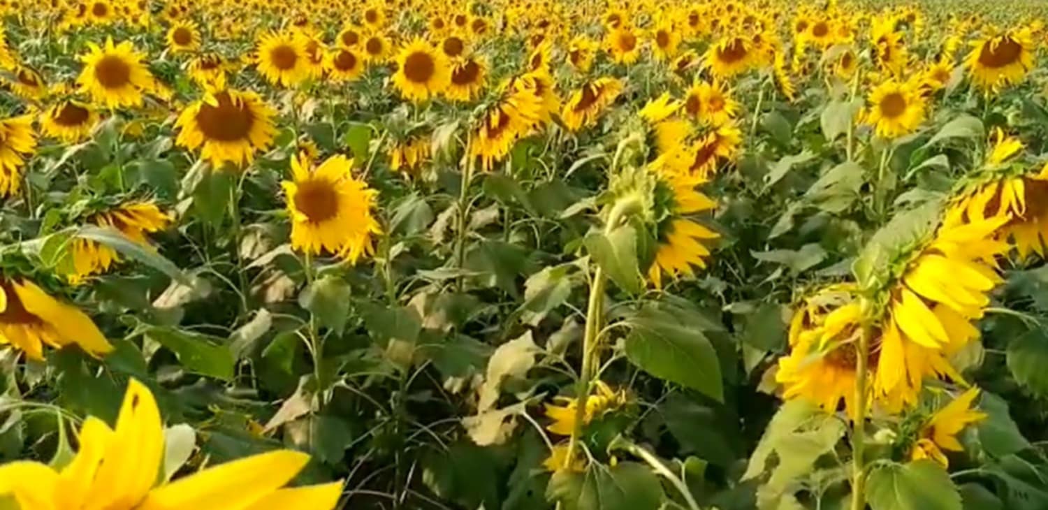 0337ccb1-8526-45d6-bad8-33cad66df14632230