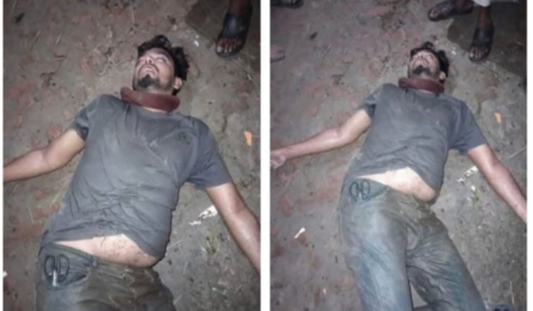 d5f54a01-4211-479d-bed1-567a4503b61435197