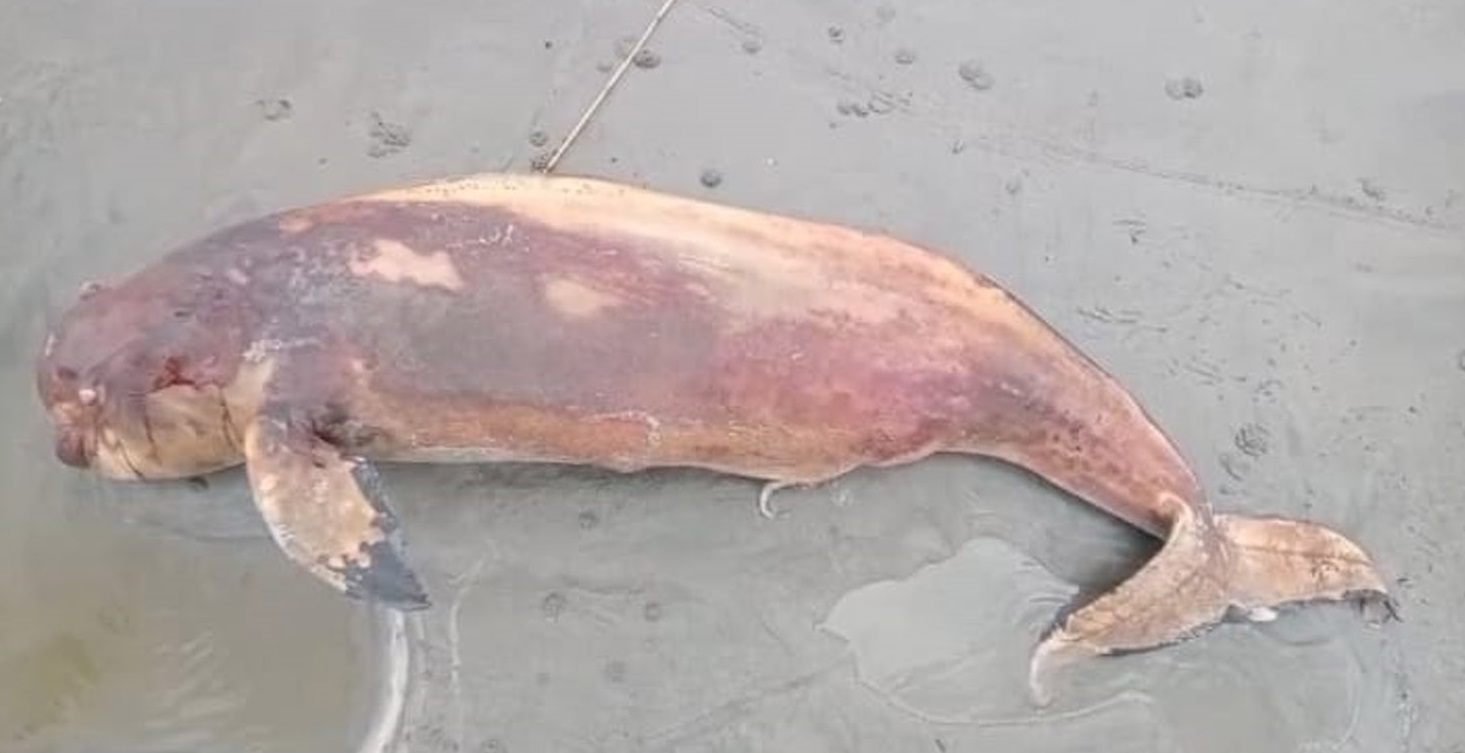 d89879a6-7c40-4dd2-98fe-b944f46d362035378