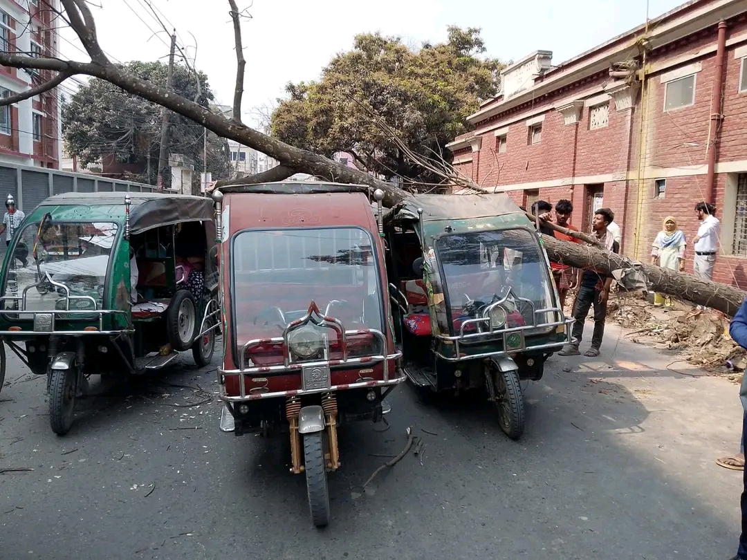 2651fed0-f54d-4d30-a98e-250c07a9002c39971