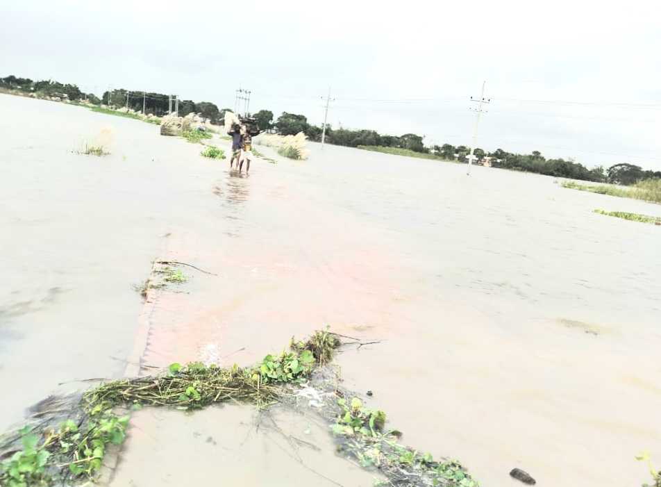 1c884377-18fe-4384-bfa1-db321e91234027559