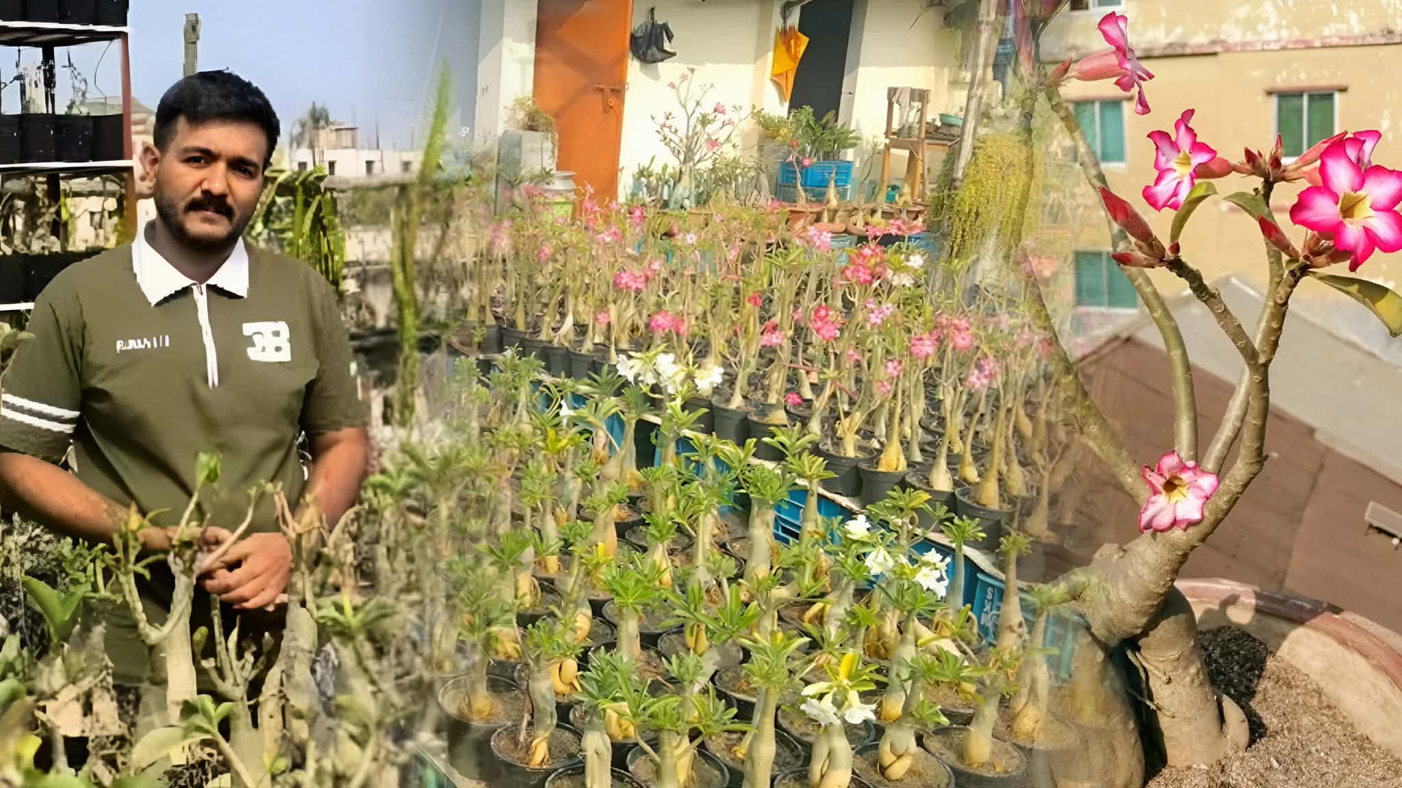 5d97f525-9a5e-43a6-8729-f220e586a1f940497