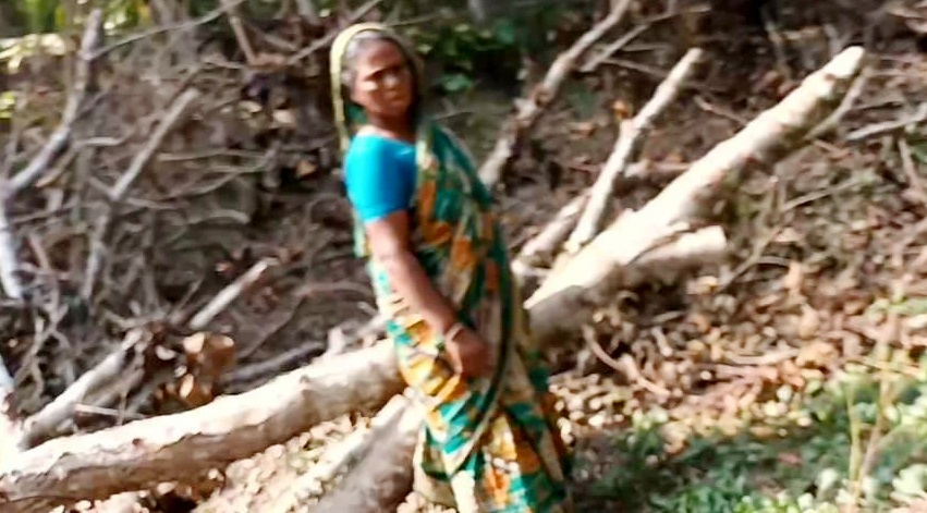 f0dc2cee-faf6-424b-8551-ab10b938b0f831134