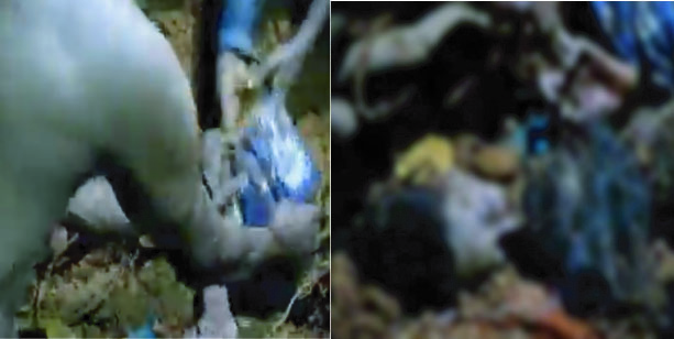 a46a8896-95e3-465e-afdc-b4aaf747f84133514