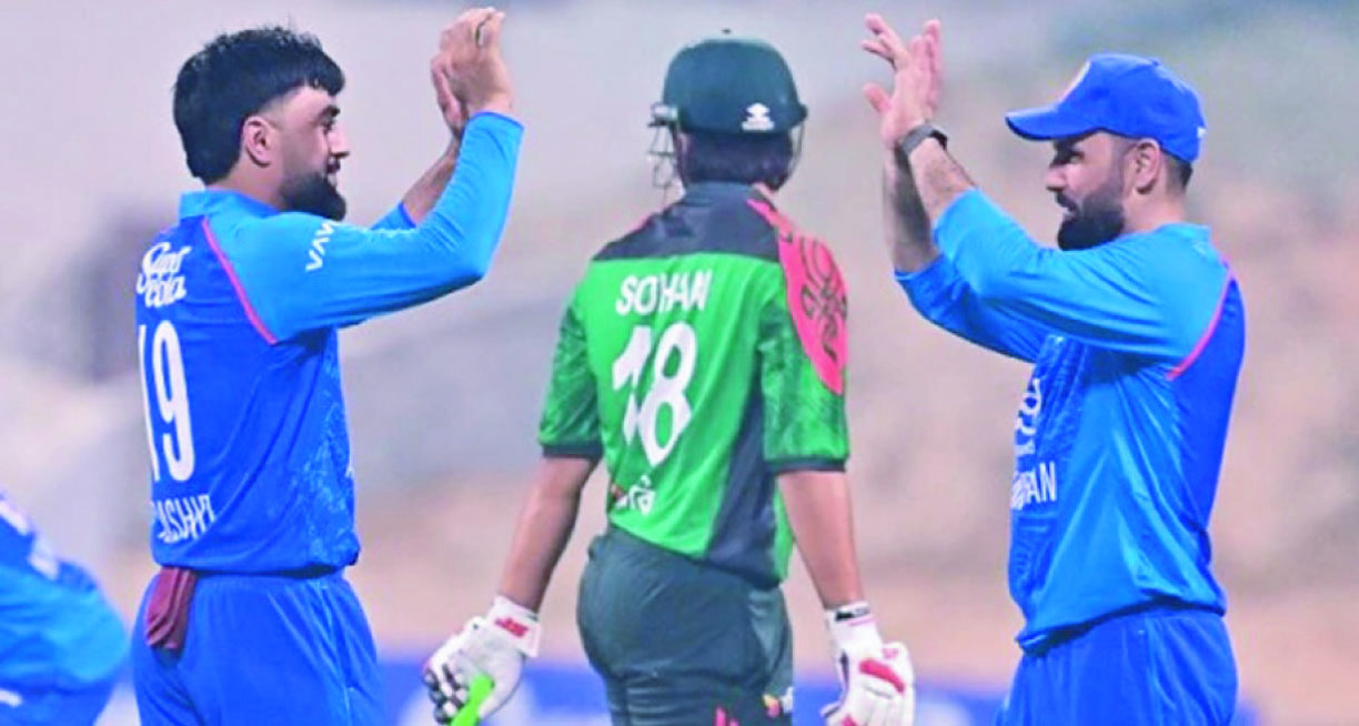 113db2c8-6762-4088-a6a8-99d22be0c13736783