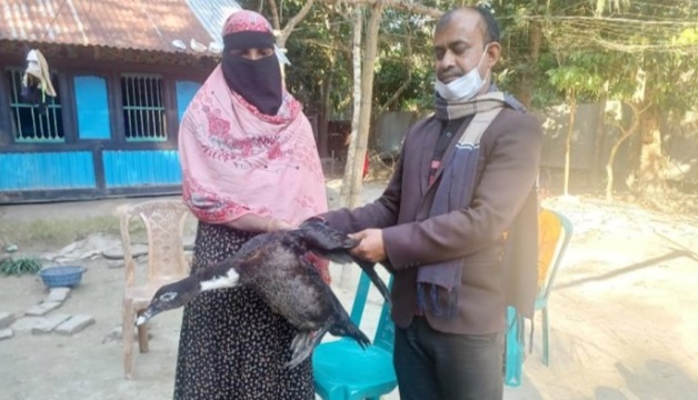 dcfc5dfe-e5ff-4fbf-b7e7-c7f7ec3ab15a38257