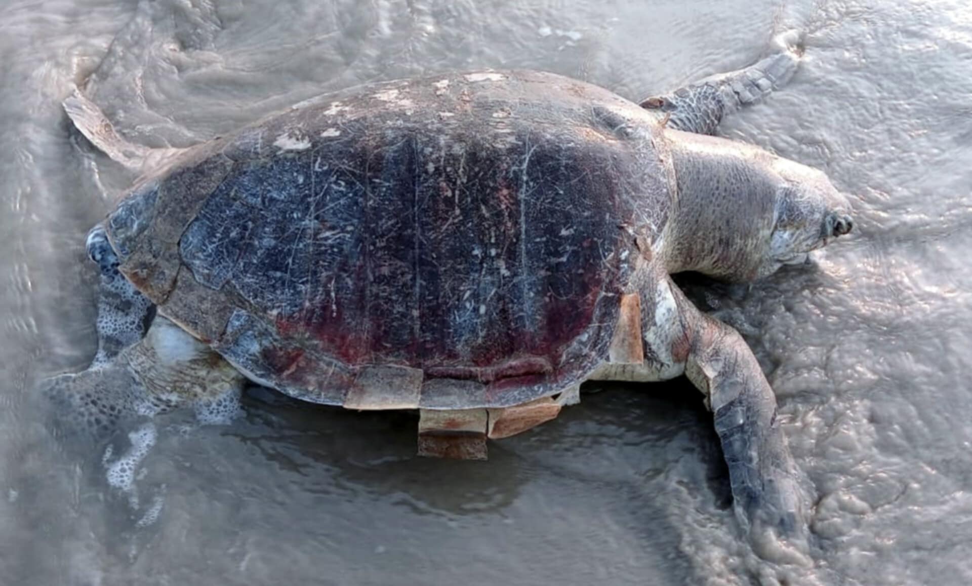 1a1f1698-b266-4d35-8821-7ad68a25a67232249