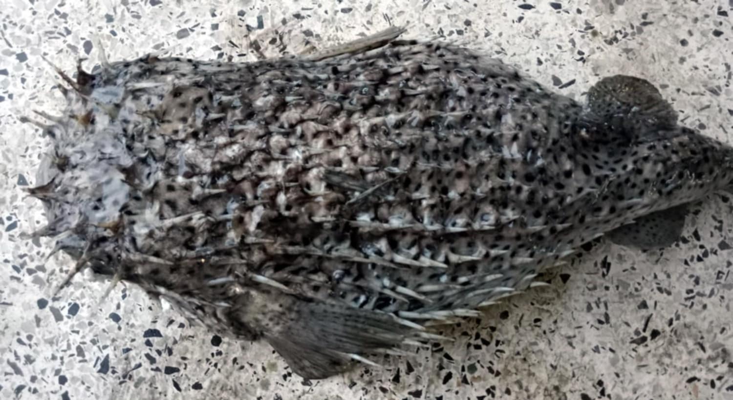 f49b9e61-23fb-42eb-acdb-0a094167b1e235345