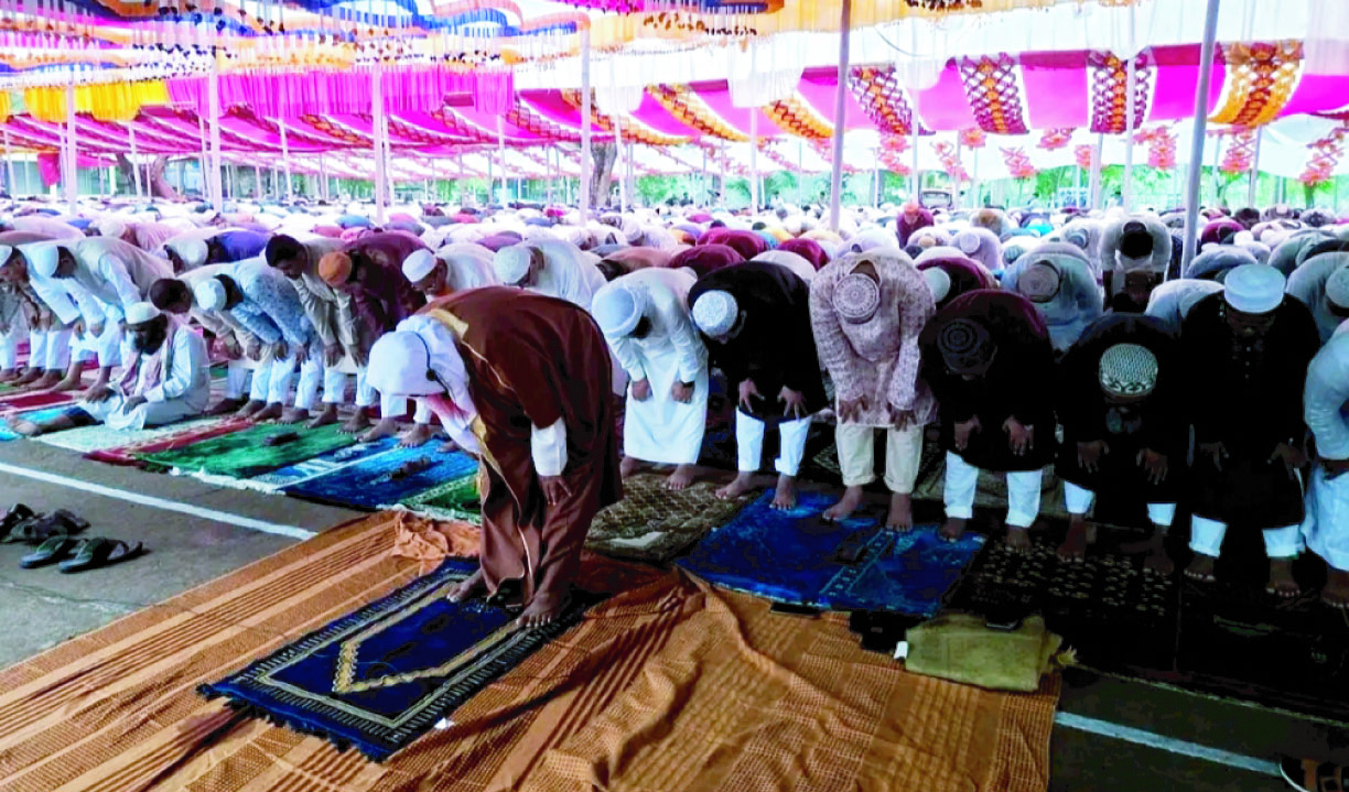 ba8b799a-dab5-470e-89e1-4f635ff3bb1940469