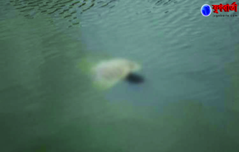 b3ab95f8-2f16-4e5d-ae1b-070ddbe2eb3d31588