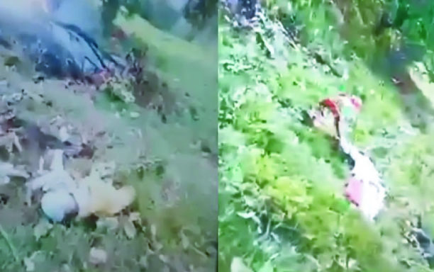 7650fac0-fb3c-4028-9256-65e0e580cfa733783