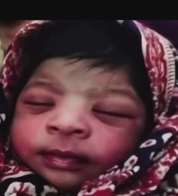 978265f4-2c49-47f1-9878-e35ee764de8727203