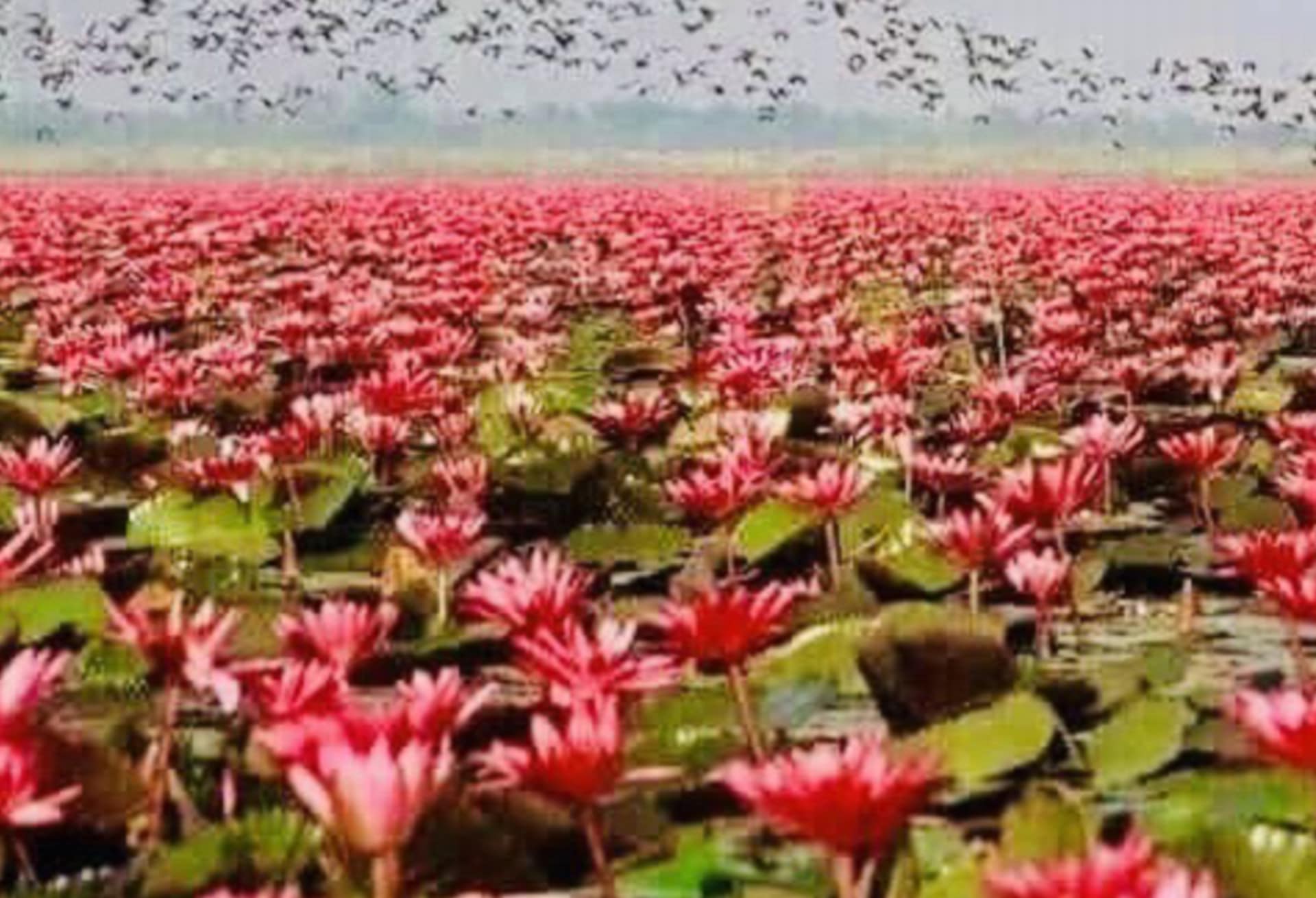 7275e3da-0a34-483d-95d7-15c5a91de0ac32316