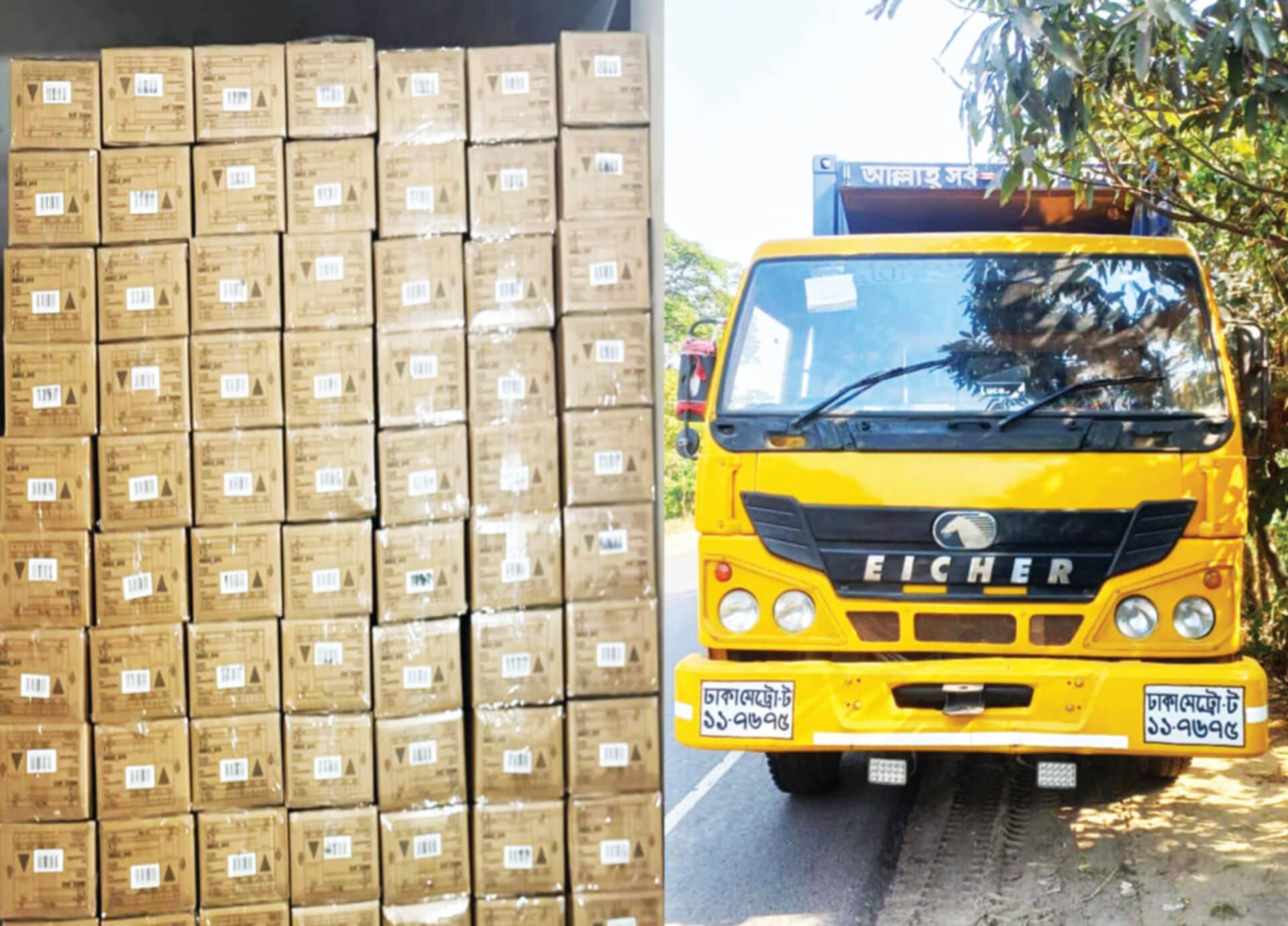 01025411-a1f3-494a-8fa6-97348d4f0b9932786