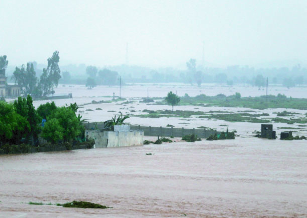 cc94ac74-fd92-4a21-ae16-8ca26343a8f235308