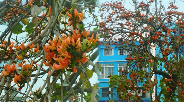 f76ef585-3cb3-406a-8e21-5f24358e14b039911