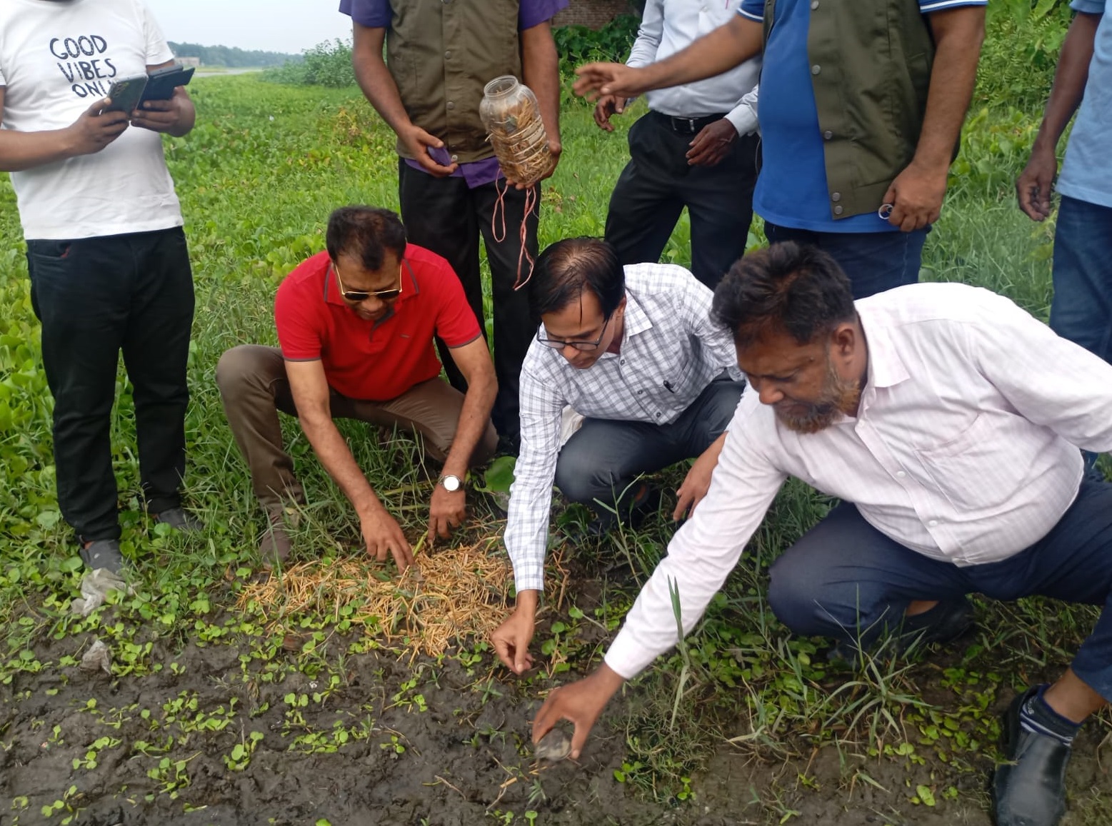 d3af2fcf-a9e9-46db-9f64-107af2e0a34633982