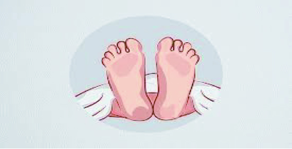 4affab02-02b4-4770-9ffd-217ff65167dd33111