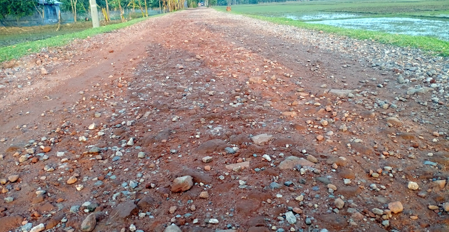 d48f74f5-c75a-4ca0-91ea-a6ea33d59fce34010