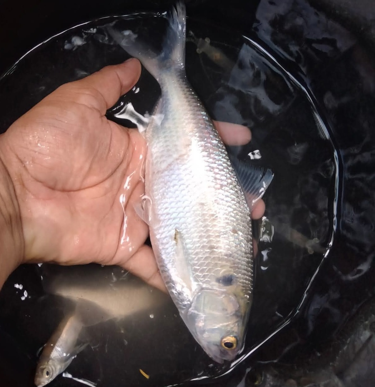 813e2cc3-12ce-4ac9-8150-177138d9969534571